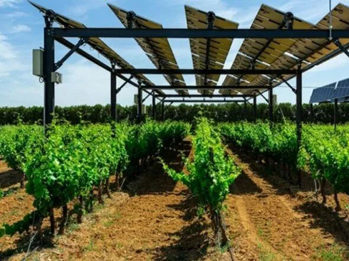 프랑스는 농업용 태양광 표준을 정의합니다.
