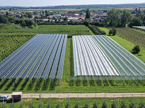 유럽 ​​태양광 산업 협회, 새로운 농업용 태양광 발전 지침 발표